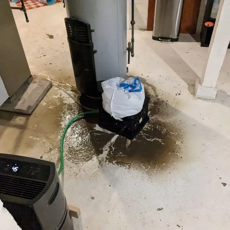 Sewage Backup Cleanup Service in Shannon County, MO